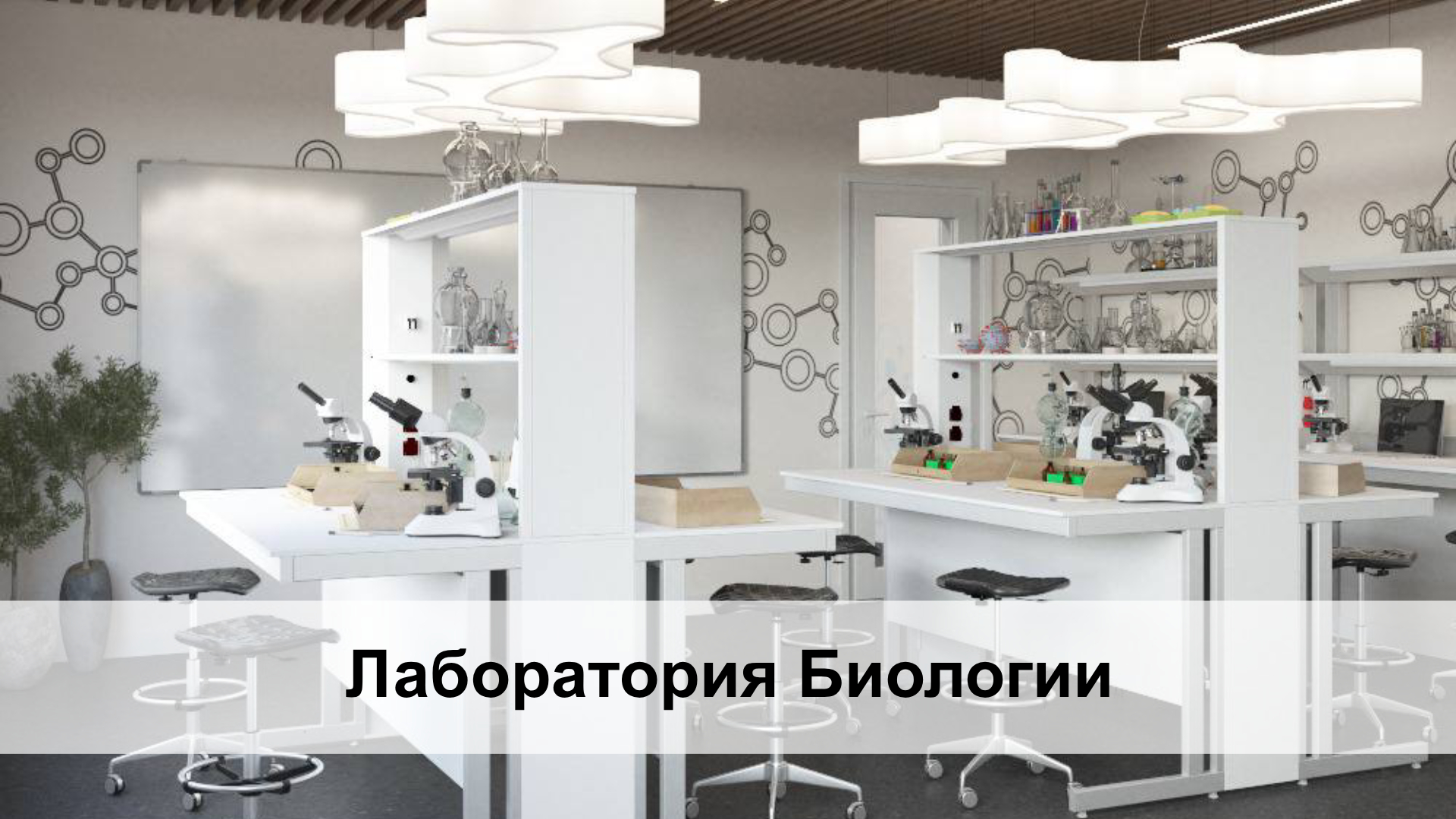 Учебная лаборатория по биологии. Преподавание технологии. Лаборатория Биологии. Оснащение учебных кабинетов биологии. Проект содержит все необходимое для проведения как теоретических, так и практических занятий. Оснащение учебных кабинетов Учебная лаборатория по биологии. Преподавание технологии. Лаборатория Биологии. Оснащение учебных кабинетов биологии. Проект содержит все необходимое для проведения как теоретических, так и практических занятий. Оснащение учебных кабинетов