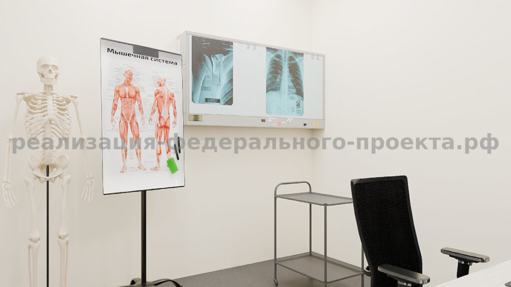 Какое оборудование необходимо для медицинских классов? Практические тренажеры: — Анатомические манекены, симуляторы для отработки навыков инъекций и сердечно-лёгочной реанимации. — Электронные микроскопы с цифровыми экранами для изучения гистологических препаратов. Диагностические устройства: — Тренажеры ЭКГ, тонометры, модели органов с подсветкой для визуализации патологий. — 3D-атласы тела на интерактивных панелях. Цифровые инструменты: — Программное обеспечение для виртуальных операций и анализа клинических случаев. Организация поставки учебного оборудования для медицинских классов требует учёта безопасности и соответствия стандартам: материалы должны быть гипоаллергенными, а техника — сертифицированной.